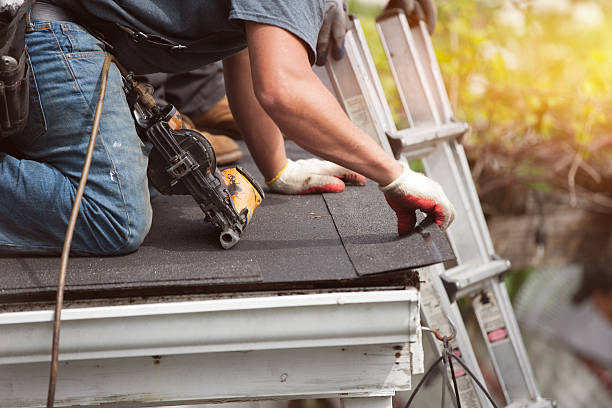 Best Roof Gutter Cleaning  in Porters Neck, NC